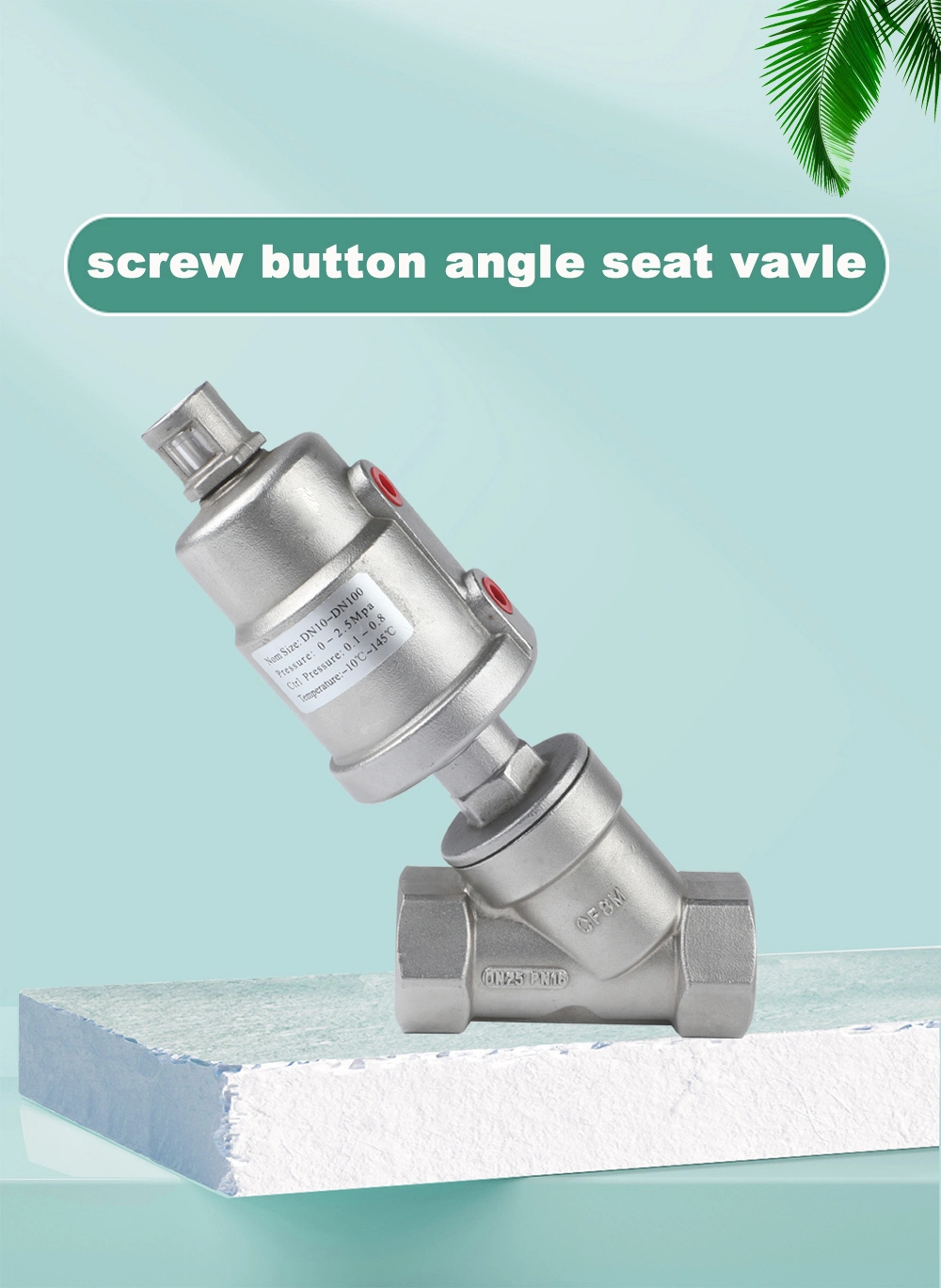 Screw Button Angle Seat Valve Pneumatic Steam DN25 1 Inch Corrosion Resistant