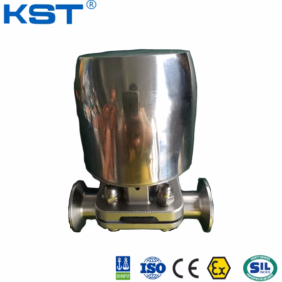 Valvola sanitaria DIN/3A/Bpe, valvola in acciaio inossidabile, valvola pneumatica a sfera/valvola a farfalla/controllo/membrana/sede di deviazione/valvola di campionamento con certificato FDA